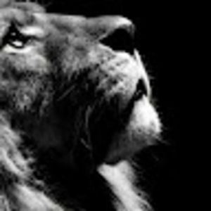 Meet your Posher, Francisco